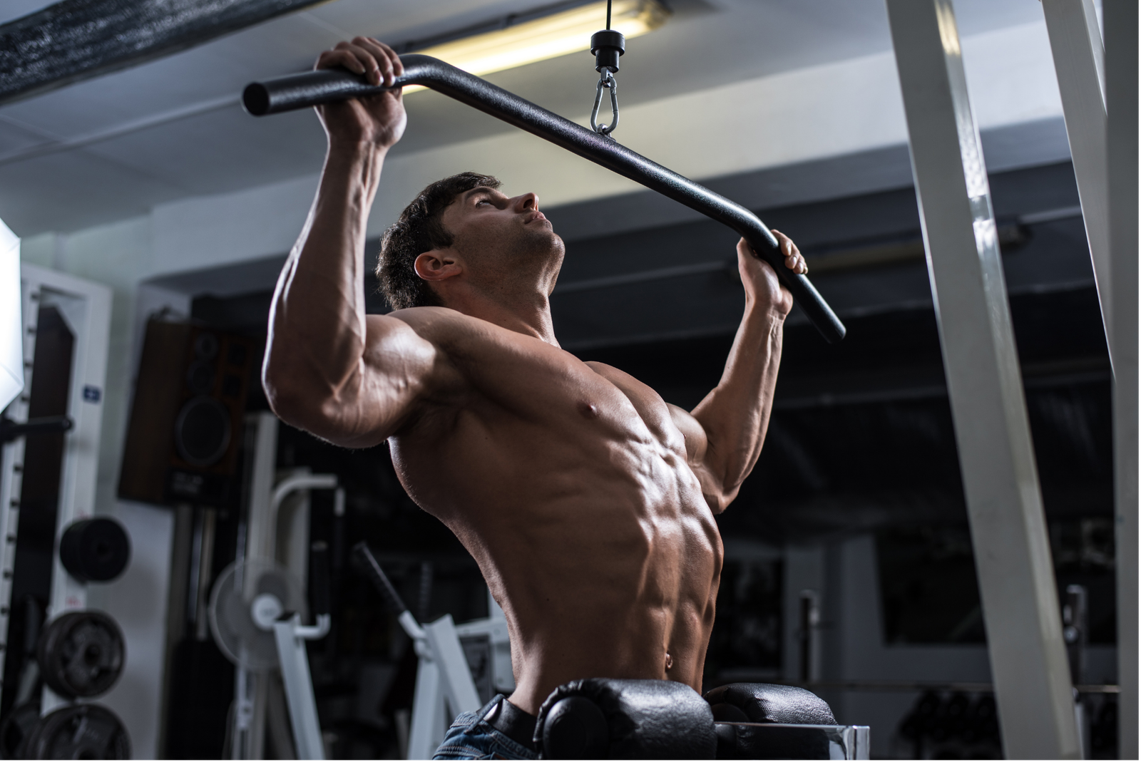 BUILT FOR ALPHA PROGRAMME 100% PERSO (5 semaines)